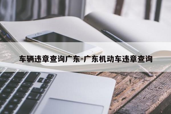 车辆违章查询广东-广东机动车违章查询