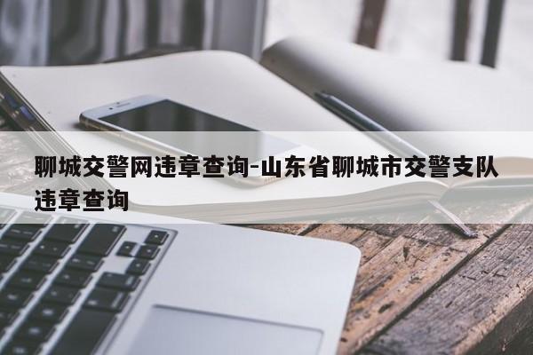 聊城交警网违章查询-山东省聊城市交警支队违章查询