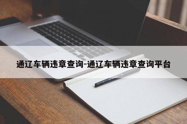 通辽车辆违章查询-通辽车辆违章查询平台