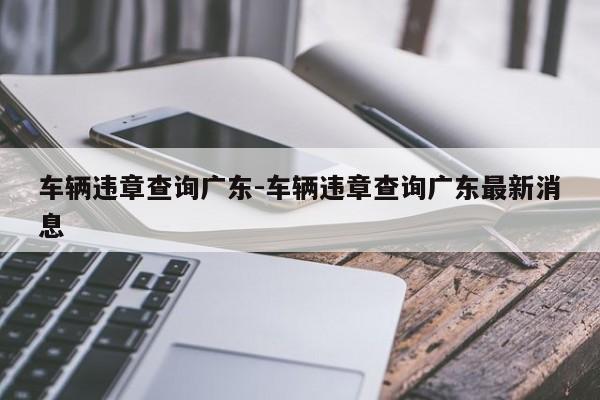 车辆违章查询广东-车辆违章查询广东最新消息