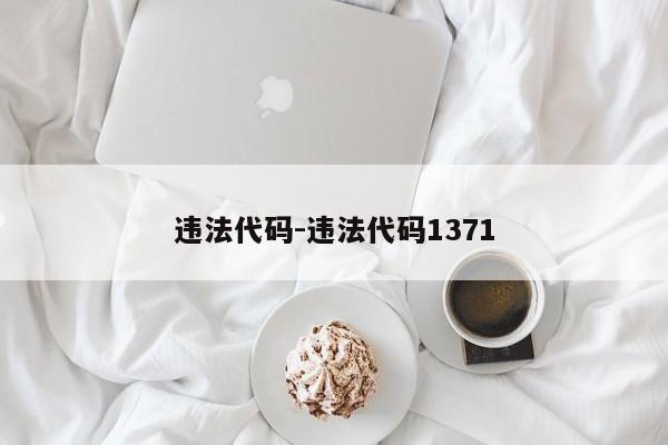 违法代码-违法代码1371