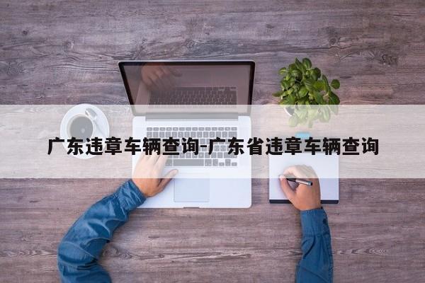 广东违章车辆查询-广东省违章车辆查询