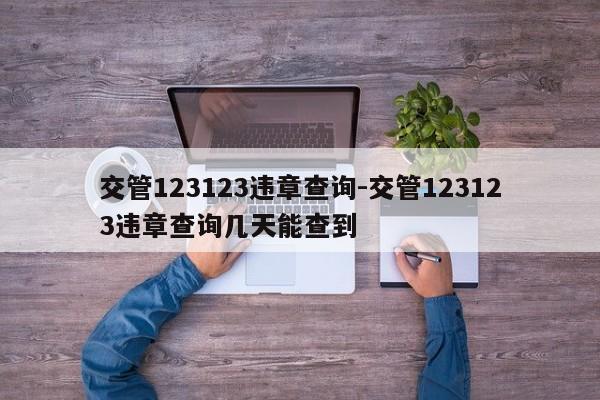 交管123123违章查询-交管123123违章查询几天能查到