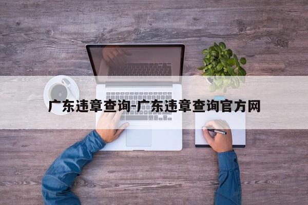 广东违章查询-广东违章查询官方网