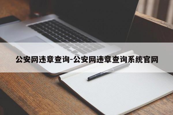 公安网违章查询-公安网违章查询系统官网