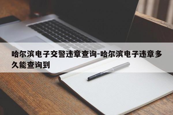 哈尔滨电子交警违章查询-哈尔滨电子违章多久能查询到