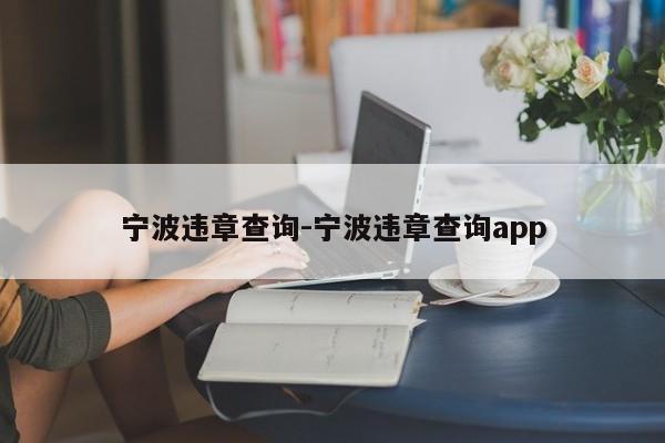 宁波违章查询-宁波违章查询app