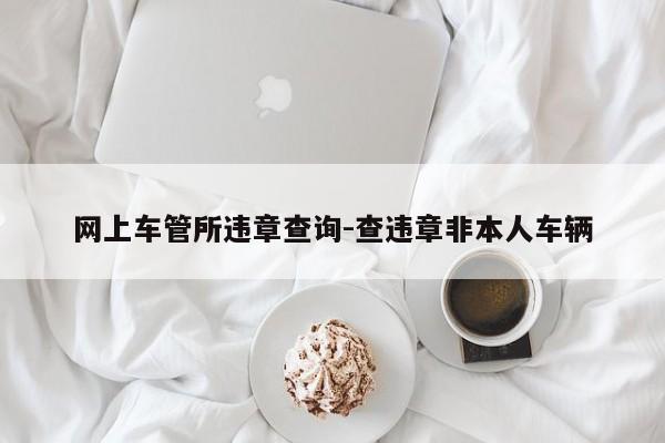 网上车管所违章查询-查违章非本人车辆