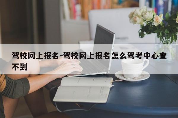 驾校网上报名-驾校网上报名怎么驾考中心查不到