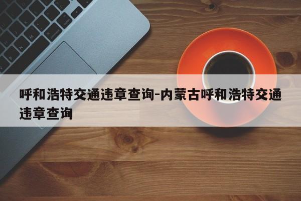 呼和浩特交通违章查询-内蒙古呼和浩特交通违章查询